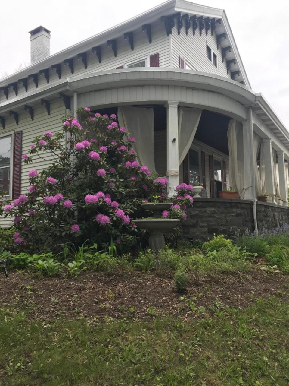 Bel'S Inn Bed And Breakfast Kingston Exteriör bild