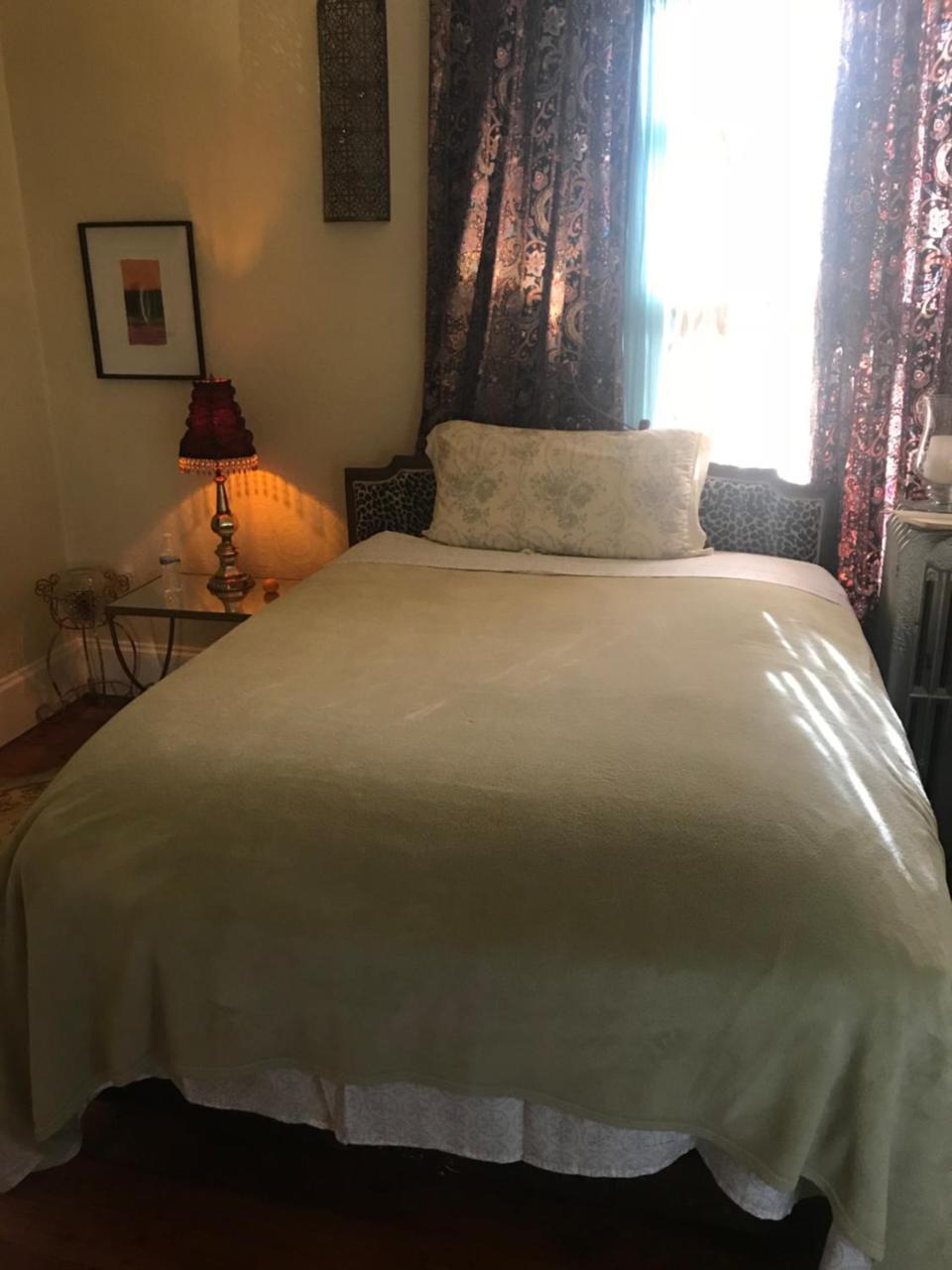 Bel'S Inn Bed And Breakfast Kingston Exteriör bild